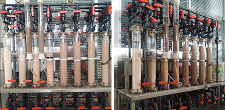 1597814532941965.jpg 微信圖片_20200819131336.jpg