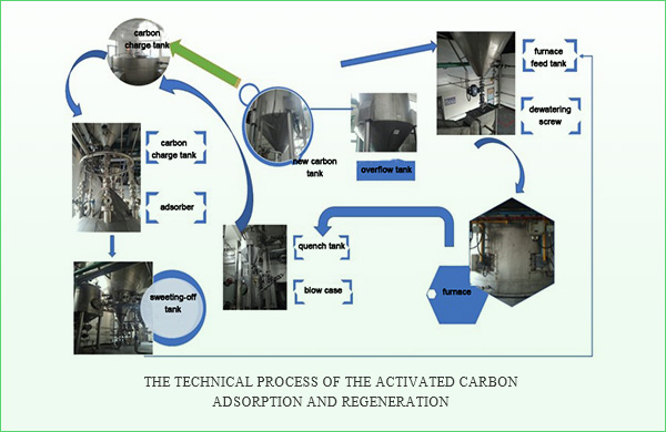 1599622999.jpg 綠色邊框一1.jpg