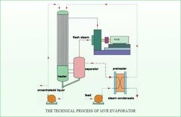 1599623630.jpg 10.jpg