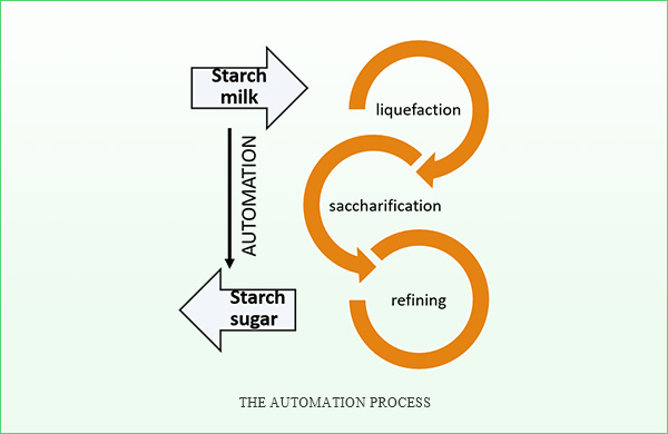 1599631965.jpg 11.jpg